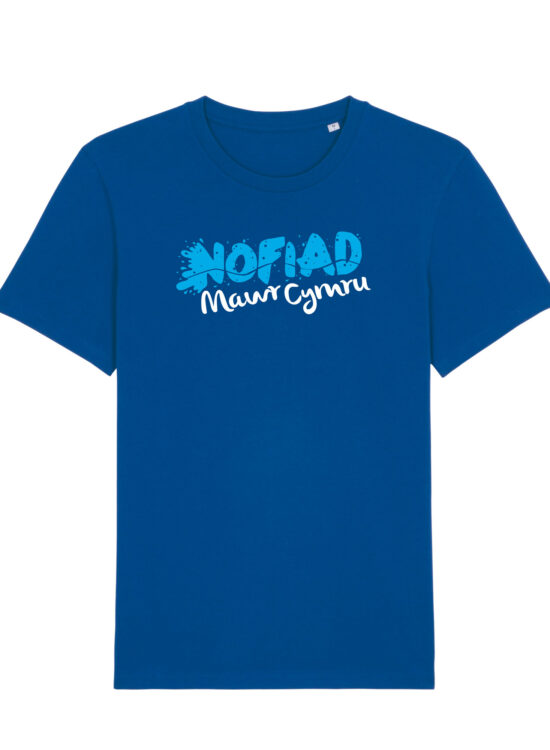 Big Welsh Swim Mens Organic Cotton Tee Welsh
