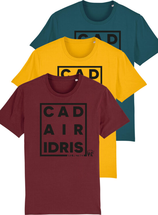 Cadair Idris T Shirt