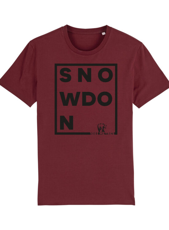Snowdon Burgundy X Small Tee