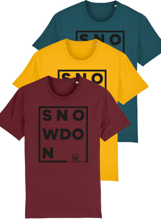 snowdon t shirt