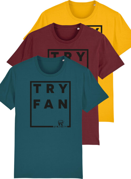 Tryfan T Shirt