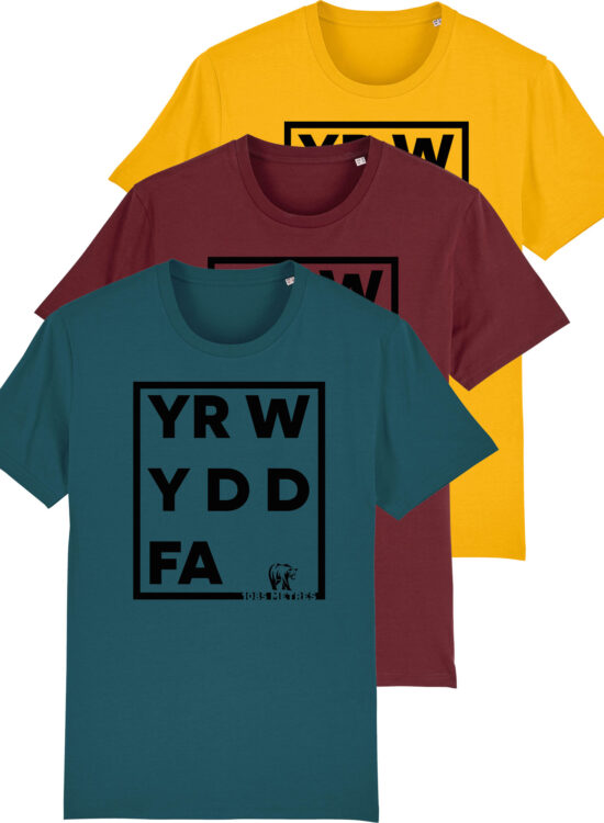 Yr Wyddfa 1085 Tee