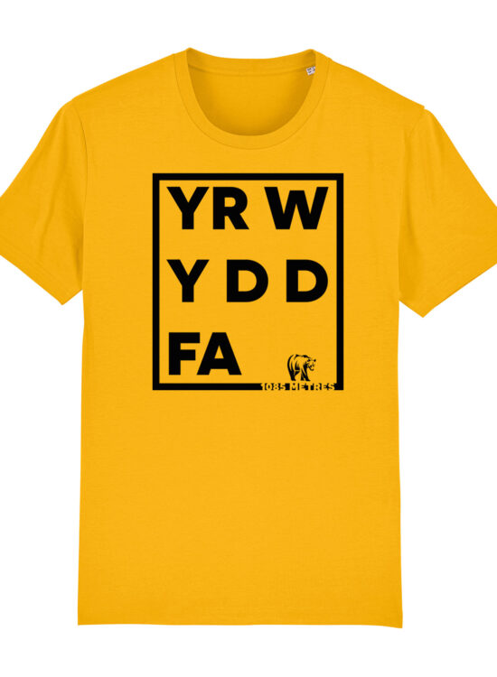 Yr Wyddfa Yellow Small
