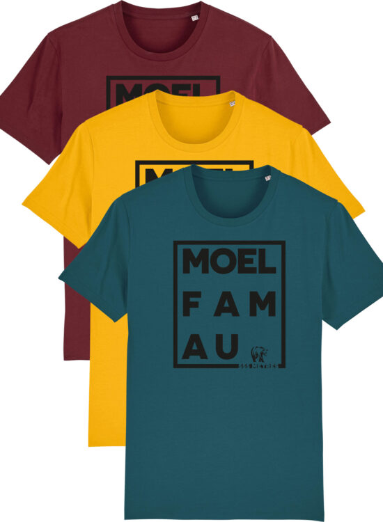 Moel Famau Tee