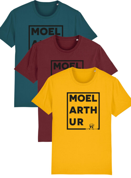Moel Arthur