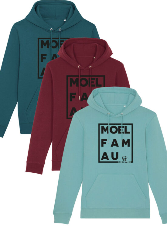 Moel Famau 555 Hoodie