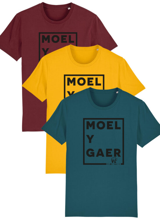 Moel Y Gaer 339 Tee