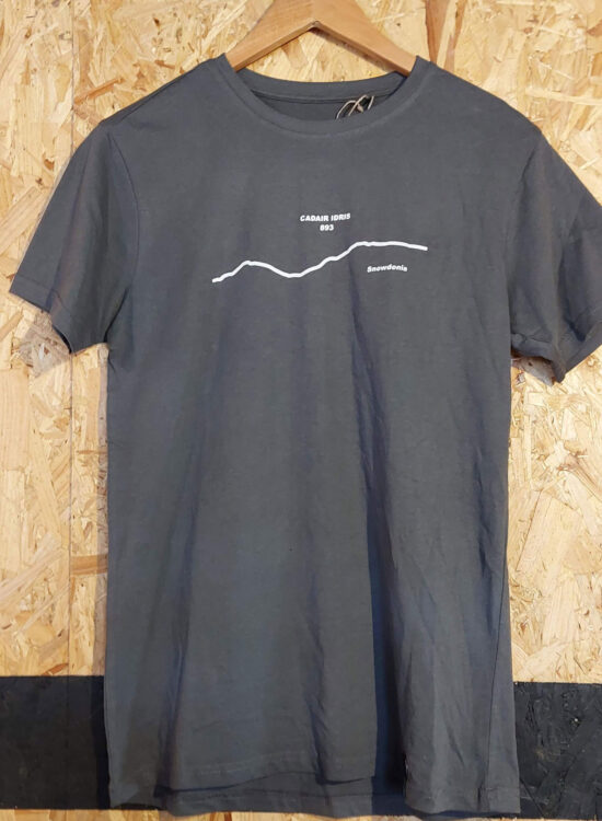 Cadair Idris T Shirt - Grey - Small