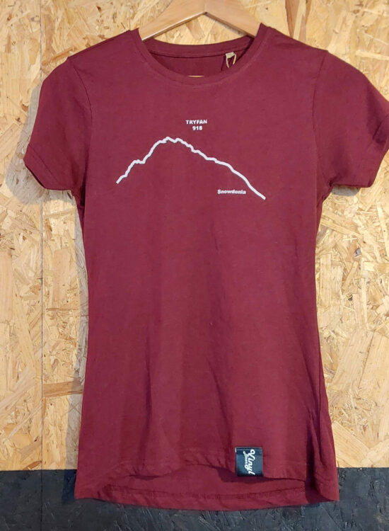 Tryfan T Shirt - Burgundy - X Small Ladies