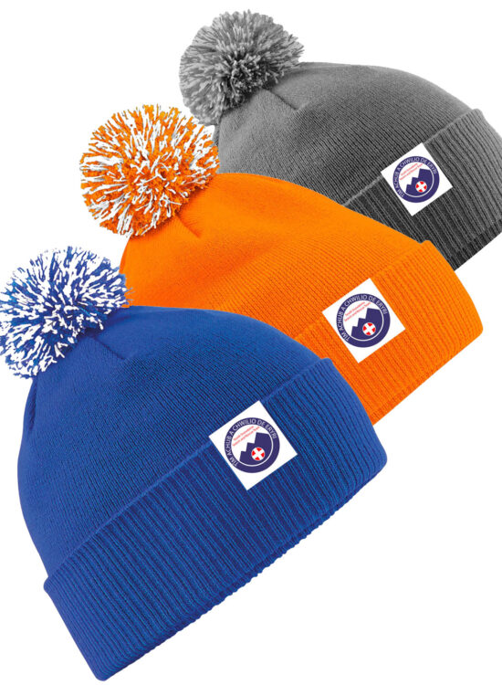 SSSART Snowstar Beanie